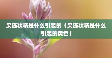 果冻状精是什么引起的（果冻状精是什么引起的黄色）