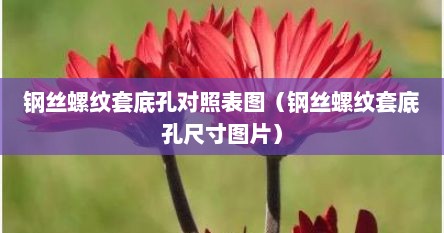 钢丝螺纹套底孔对照表图（钢丝螺纹套底孔尺寸图片）