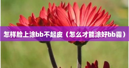 怎样脸上涂bb不起皮（怎么才能涂好bb霜）