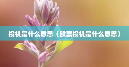 投机是什么意思（股票投机是什么意思）