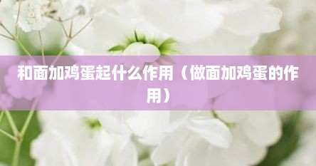 和面加鸡蛋起什么作用（做面加鸡蛋的作用）