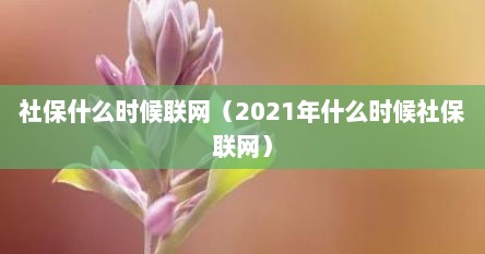 社保什么时候联网（2021年什么时候社保联网）
