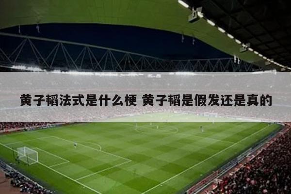 黄子韬法式是什么梗 黄子韬是假发还是真的