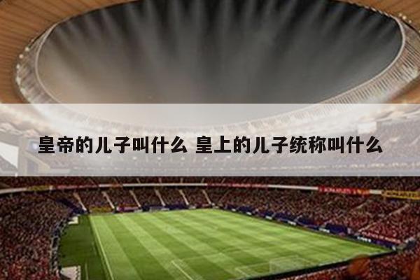 皇帝的儿子叫什么 皇上的儿子统称叫什么