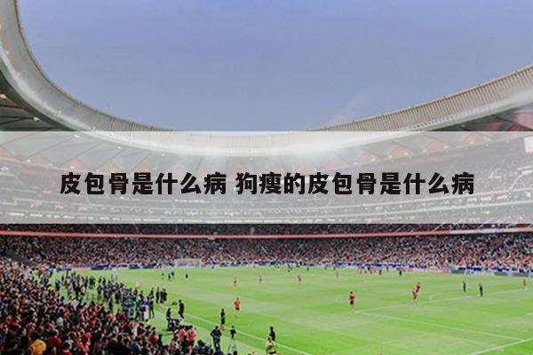 皮包骨是什么病 狗瘦的皮包骨是什么病