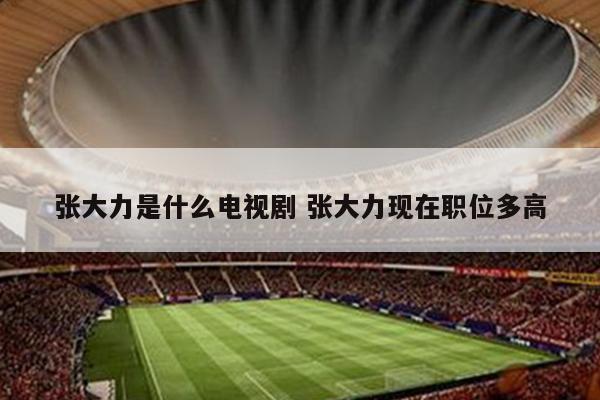 张大力是什么电视剧 张大力现在职位多高