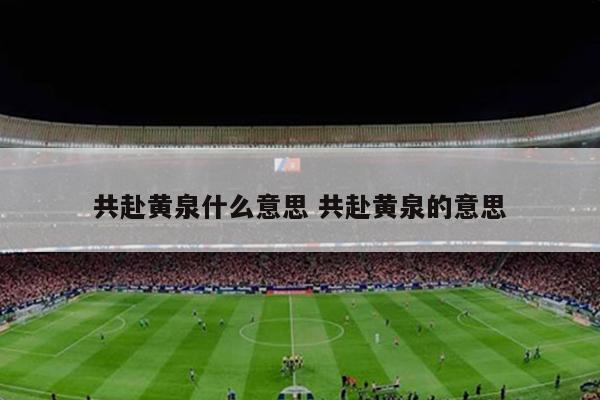 共赴黄泉什么意思 共赴黄泉的意思