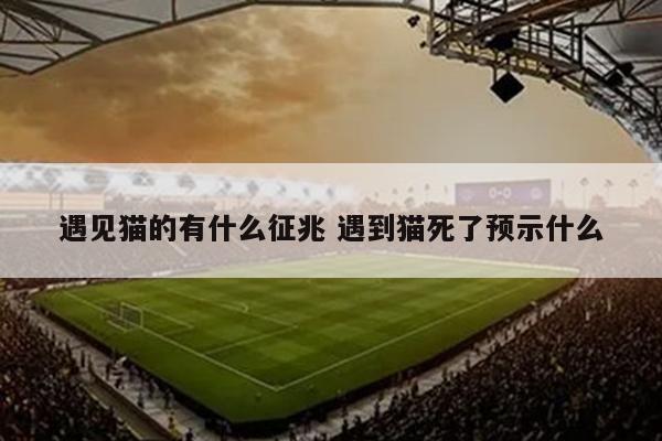 遇见猫的有什么征兆 遇到猫死了预示什么