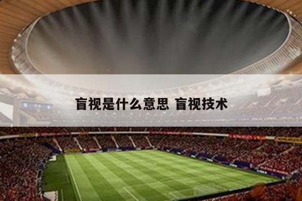 盲视是什么意思 盲视技术
