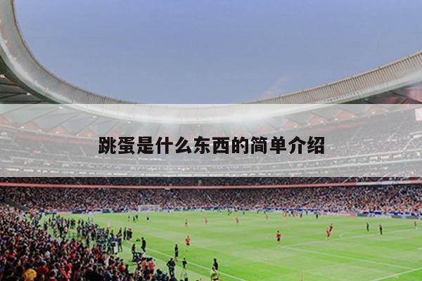 跳蛋是什么东西的简单介绍