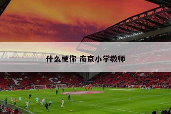 什么梗你 南京小学教师