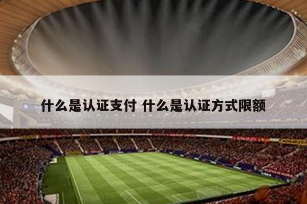 什么是认证支付 什么是认证方式限额