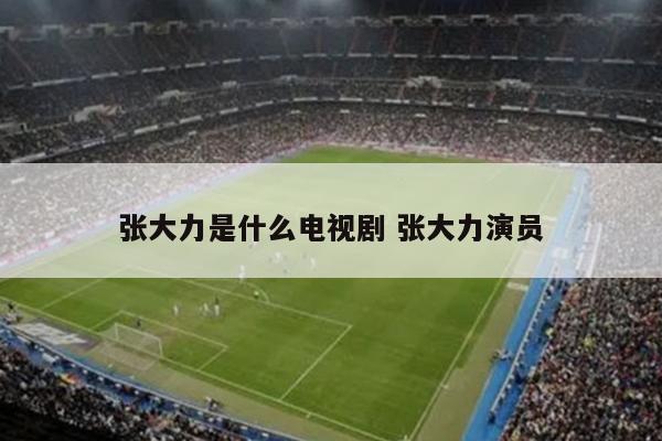 张大力是什么电视剧 张大力演员