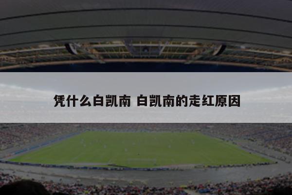 凭什么白凯南 白凯南的走红原因