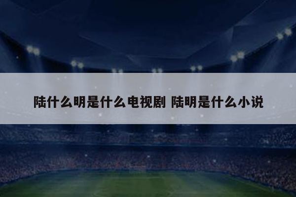 陆什么明是什么电视剧 陆明是什么小说