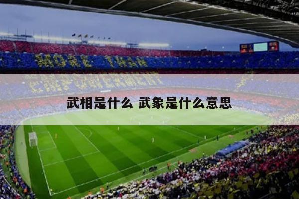 武相是什么 武象是什么意思
