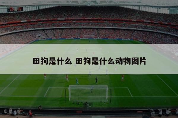 田狗是什么 田狗是什么动物图片