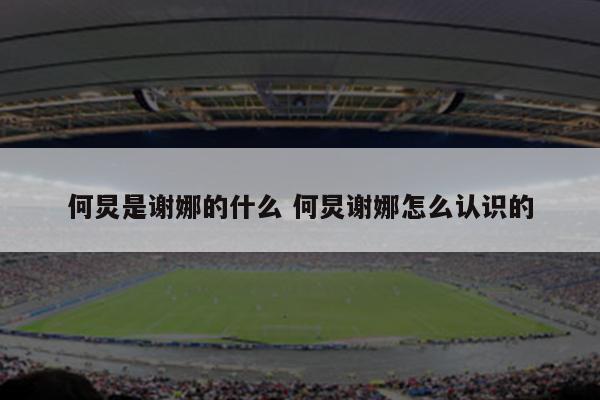 何炅是谢娜的什么 何炅谢娜怎么认识的