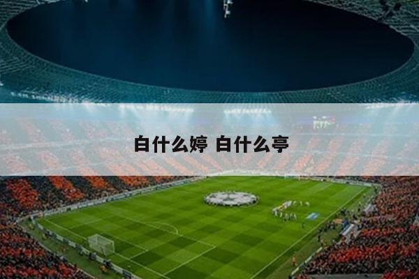 白什么婷 白什么亭