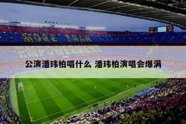 公演潘玮柏唱什么 潘玮柏演唱会爆满