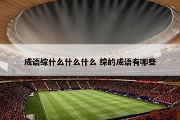 成语综什么什么什么 综的成语有哪些