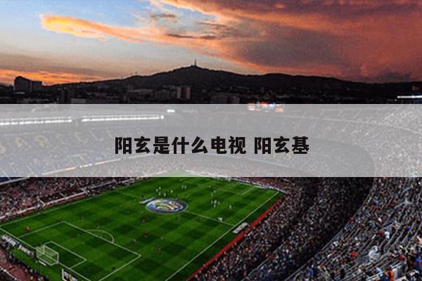 阳玄是什么电视 阳玄基