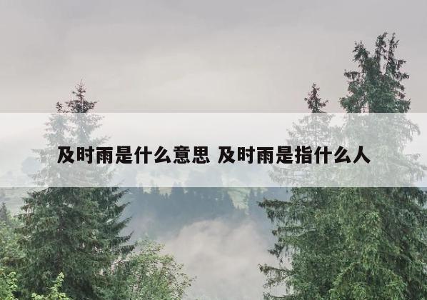 及时雨是什么意思 及时雨是指什么人