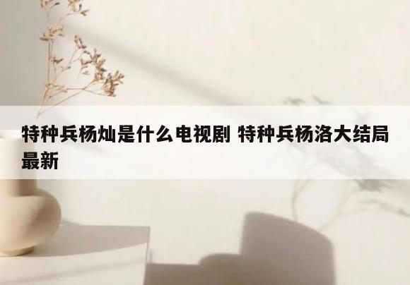 特种兵杨灿是什么电视剧 特种兵杨洛大结局最新