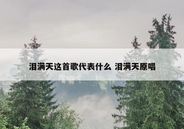 泪满天这首歌代表什么 泪满天原唱