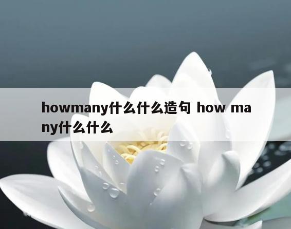 howmany什么什么造句 how many什么什么