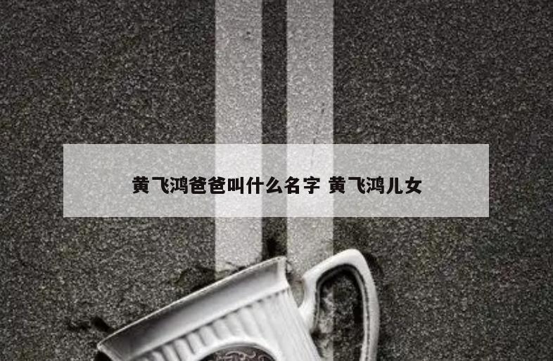 黄飞鸿爸爸叫什么名字 黄飞鸿儿女