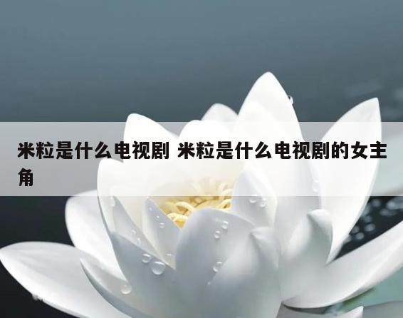 米粒是什么电视剧 米粒是什么电视剧的女主角