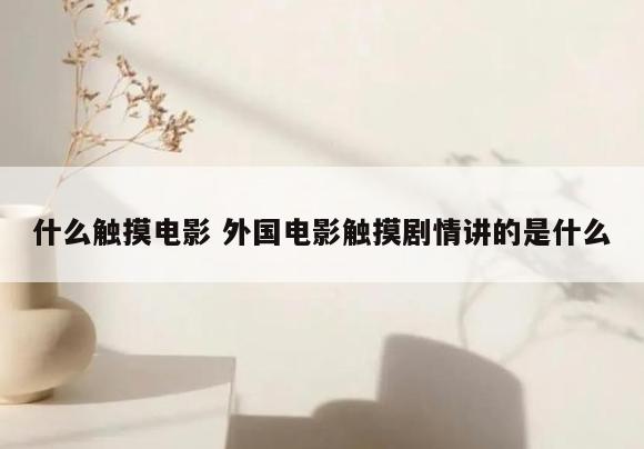 什么触摸电影 外国电影触摸剧情讲的是什么