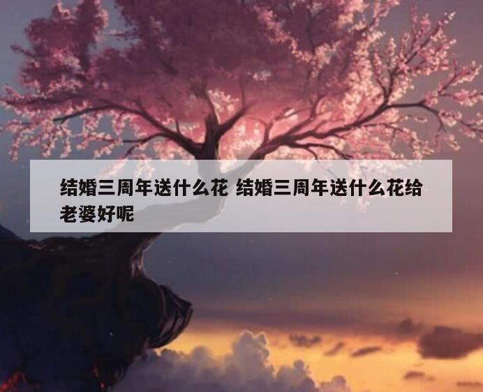 结婚三周年送什么花 结婚三周年送什么花给老婆好呢