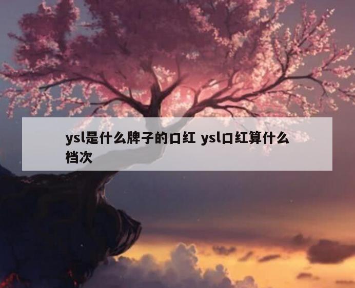 ysl是什么牌子的口红 ysl口红算什么档次