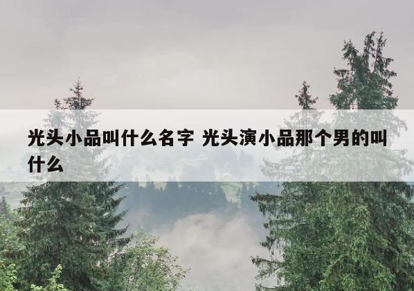 光头小品叫什么名字 光头演小品那个男的叫什么