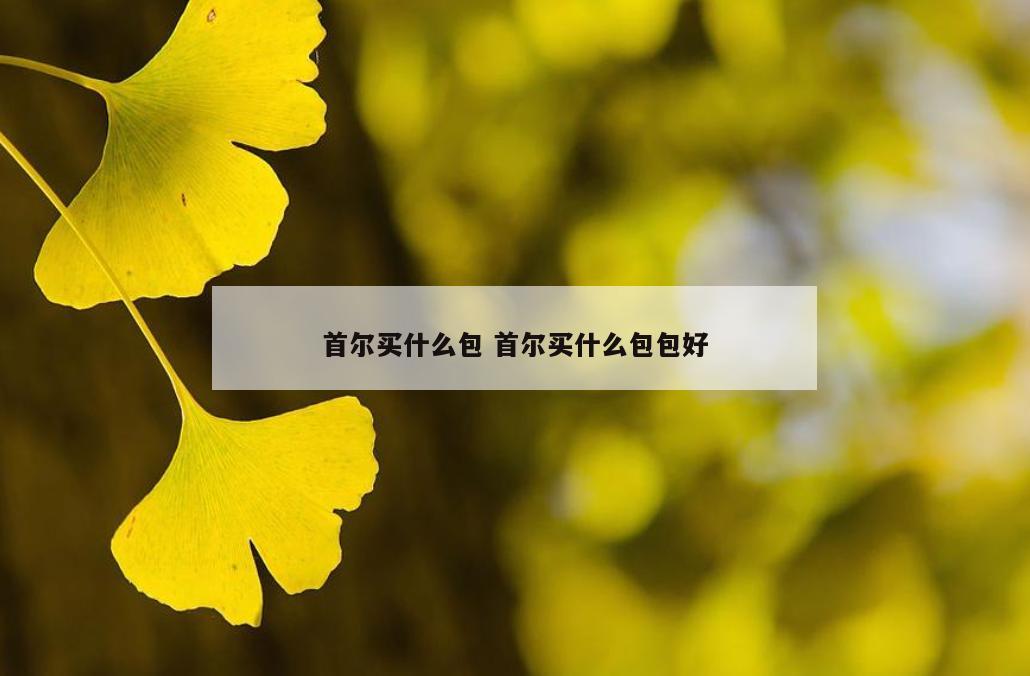 首尔买什么包 首尔买什么包包好