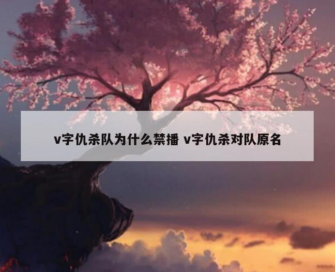 v字仇杀队为什么禁播 v字仇杀对队原名