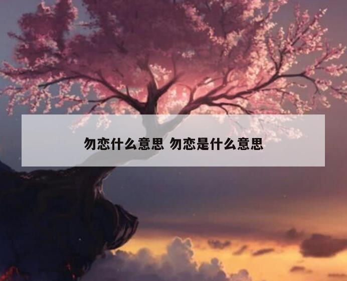 勿恋什么意思 勿恋是什么意思