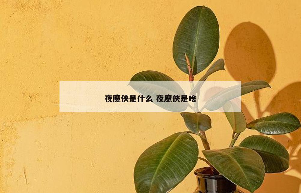 夜魔侠是什么 夜魔侠是啥