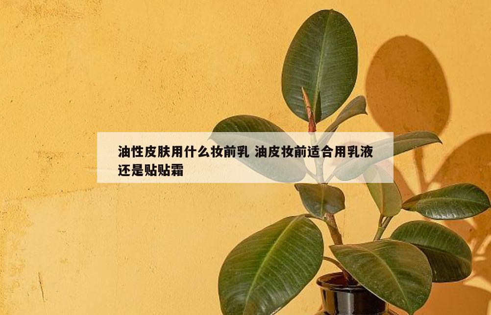 油性皮肤用什么妆前乳 油皮妆前适合用乳液还是贴贴霜