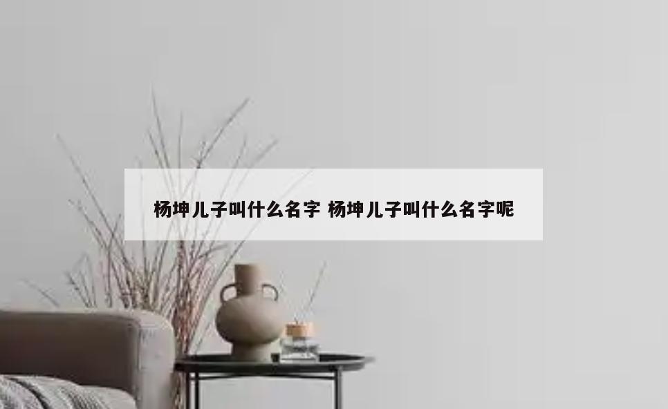 杨坤儿子叫什么名字 杨坤儿子叫什么名字呢