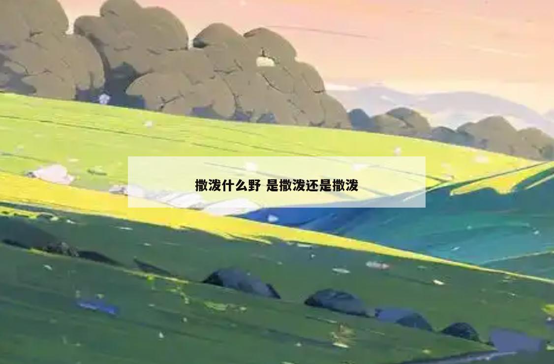 撒泼什么野 是撒泼还是撒泼