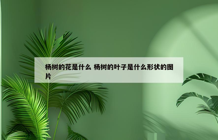 杨树的花是什么 杨树的叶子是什么形状的图片