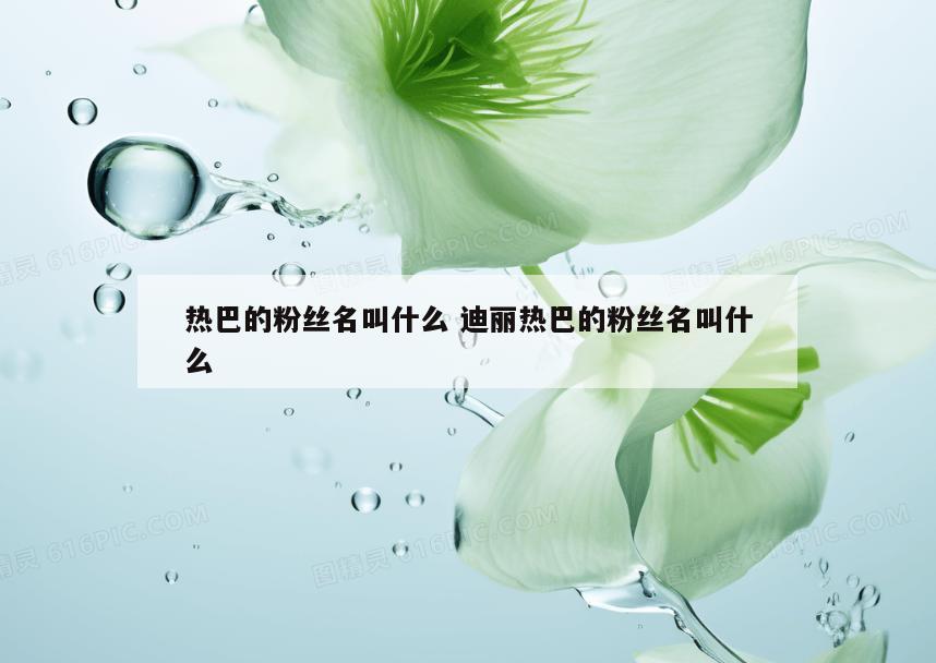 热巴的粉丝名叫什么 迪丽热巴的粉丝名叫什么