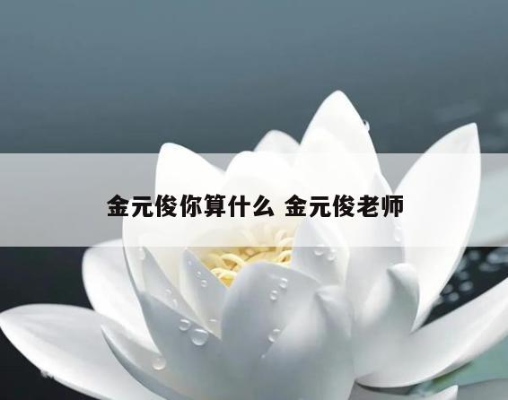 金元俊你算什么 金元俊老师