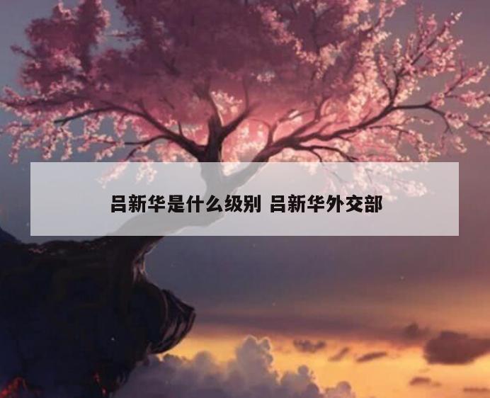 吕新华是什么级别 吕新华外交部