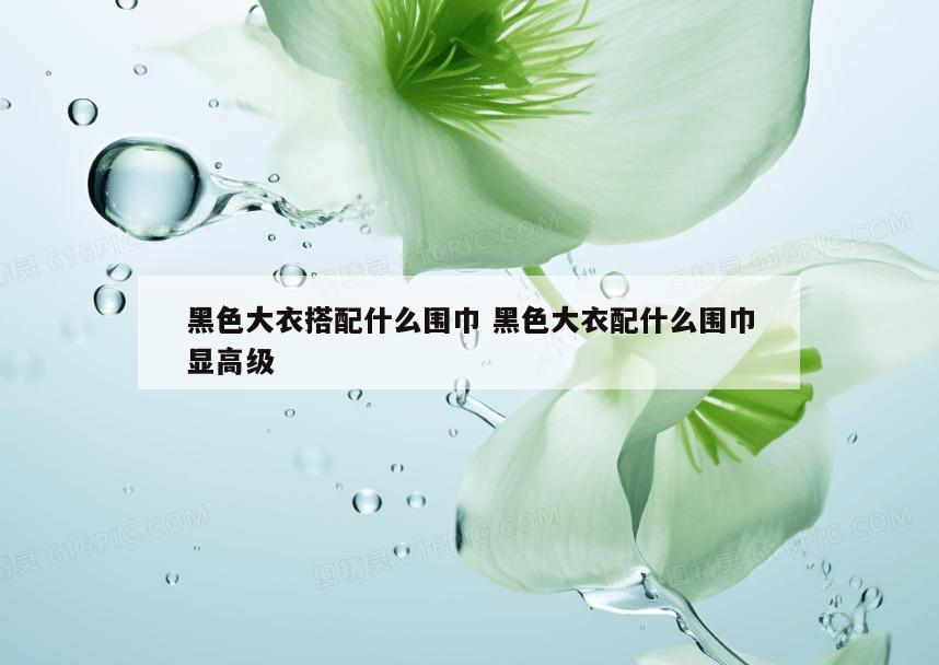 黑色大衣搭配什么围巾 黑色大衣配什么围巾显高级