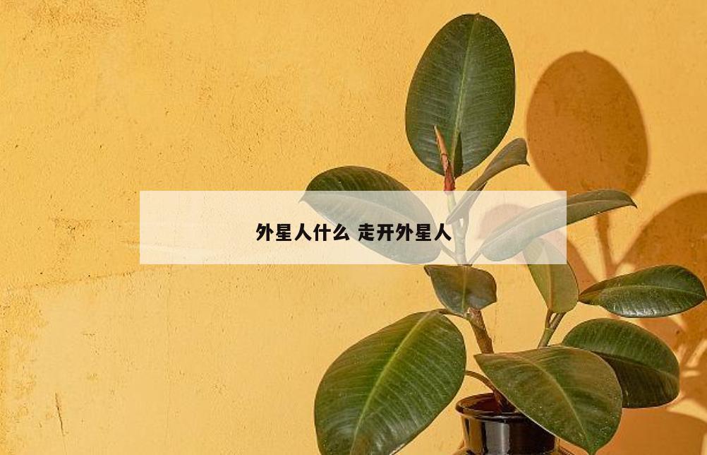 外星人什么 走开外星人