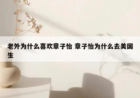 老外为什么喜欢章子怡 章子怡为什么去美国生